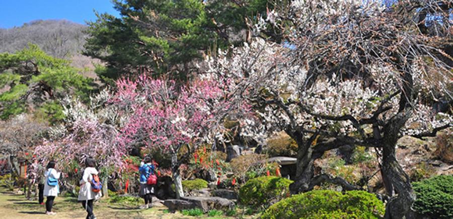 日本庭園