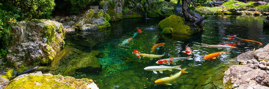 日本庭園