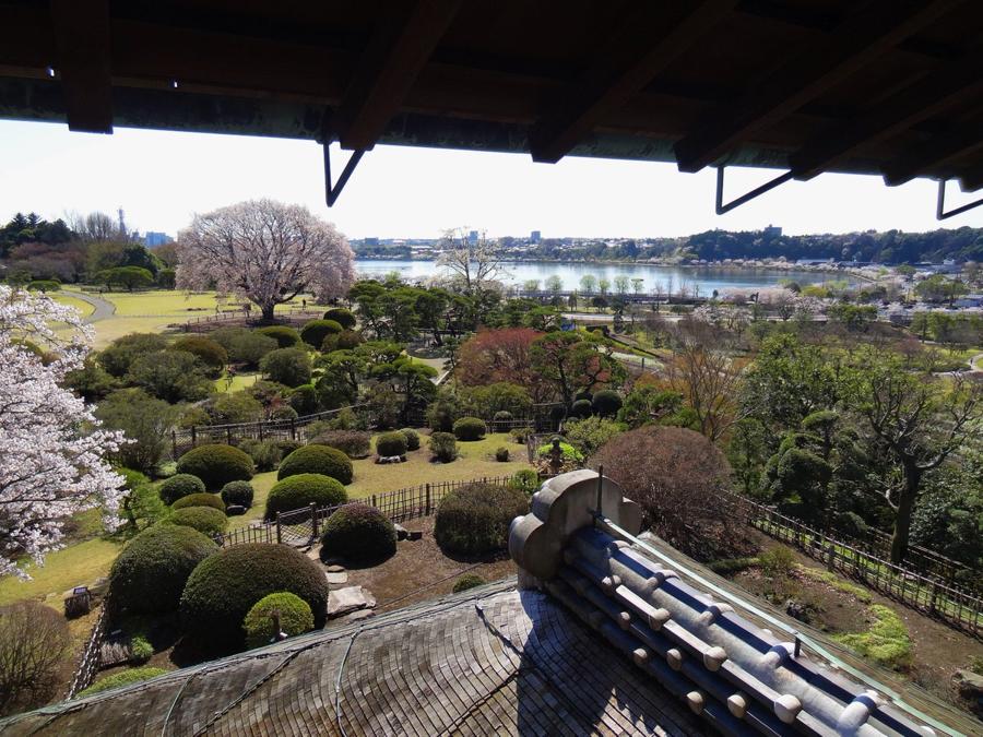 日本庭園