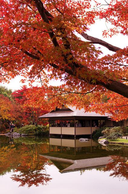 日本庭園