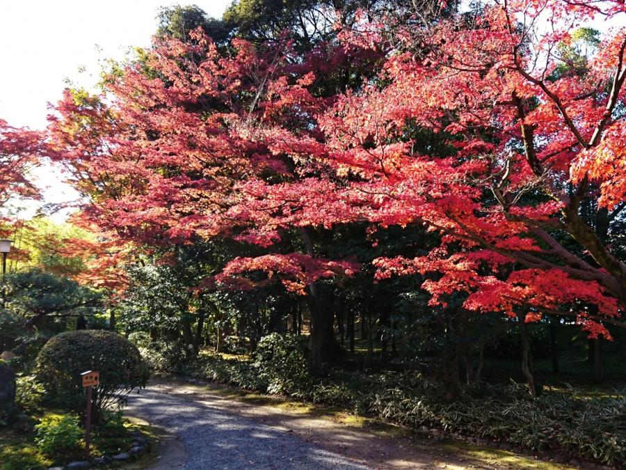 日本庭園