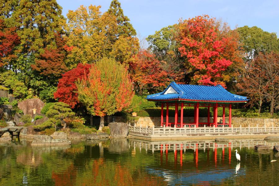日本庭園