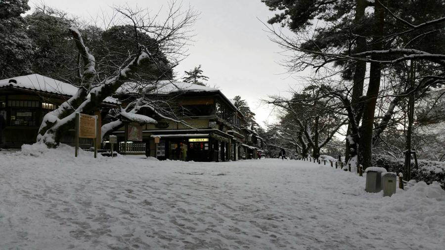 日本庭園
