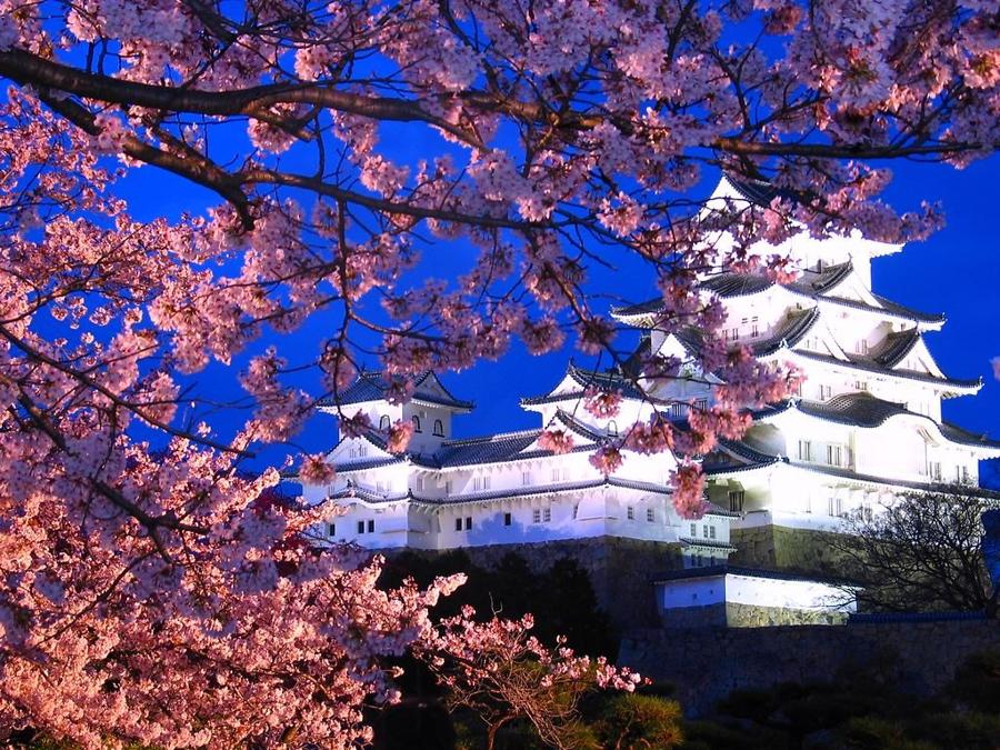 日本庭園