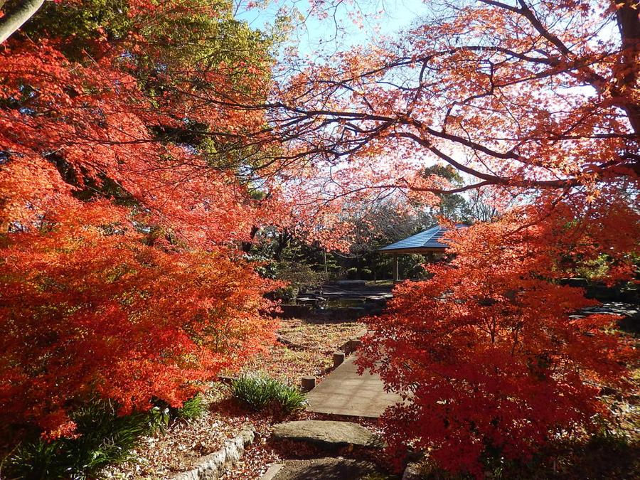 日本庭園