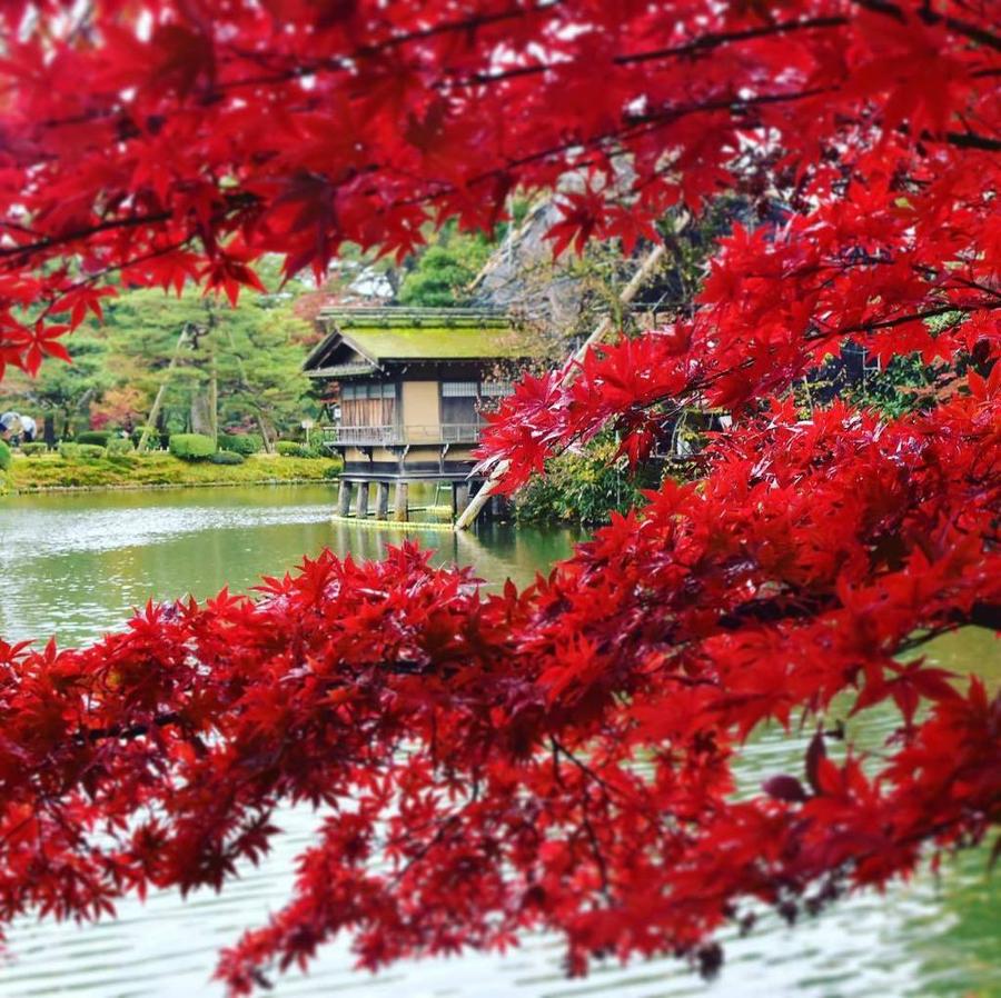 日本庭園