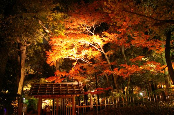 日本庭園