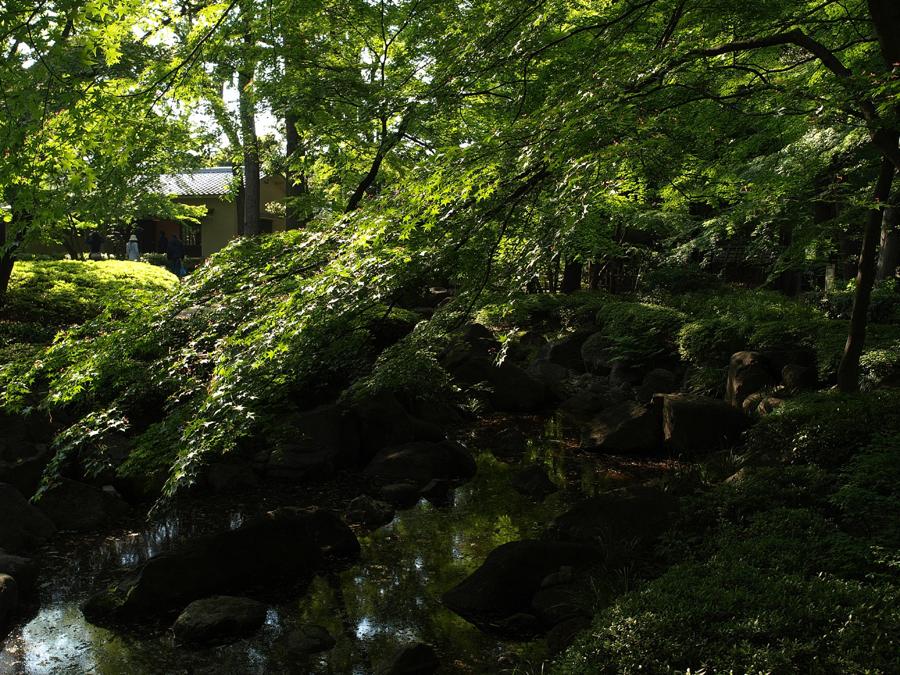 日本庭園