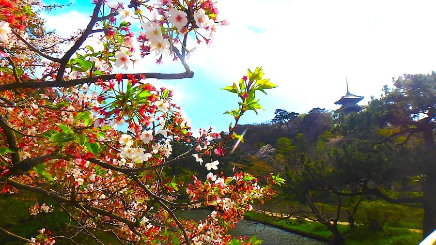 日本庭園