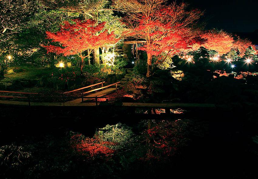 日本庭園