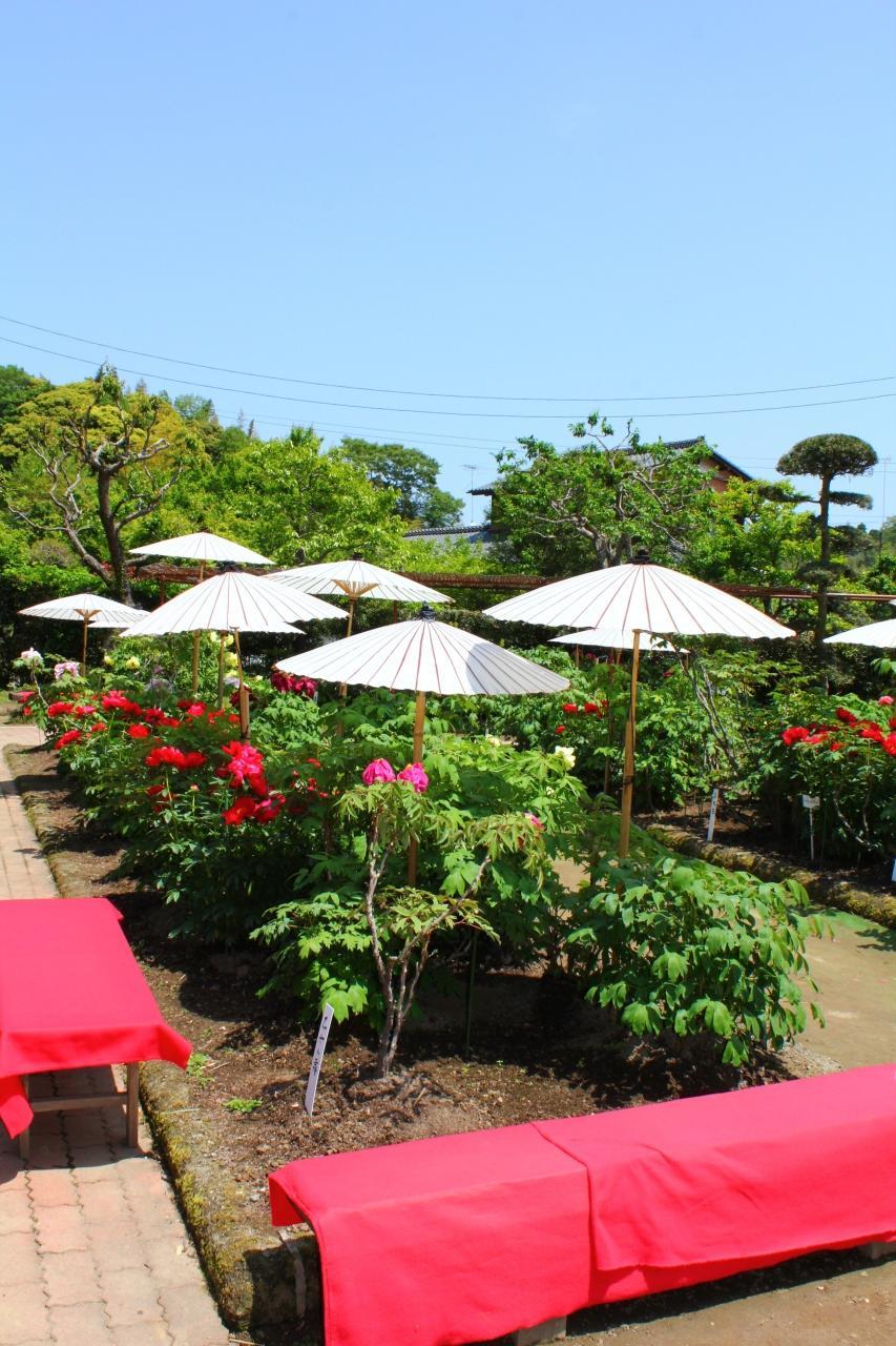日本庭園