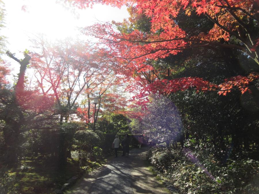 日本庭園