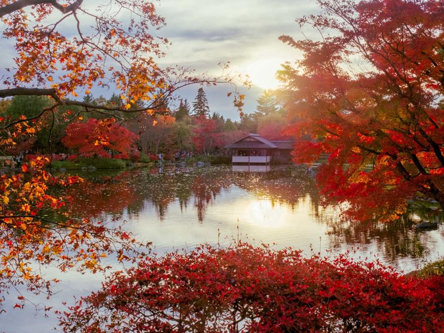 日本庭園