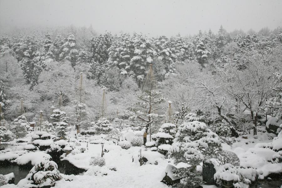 日本庭園