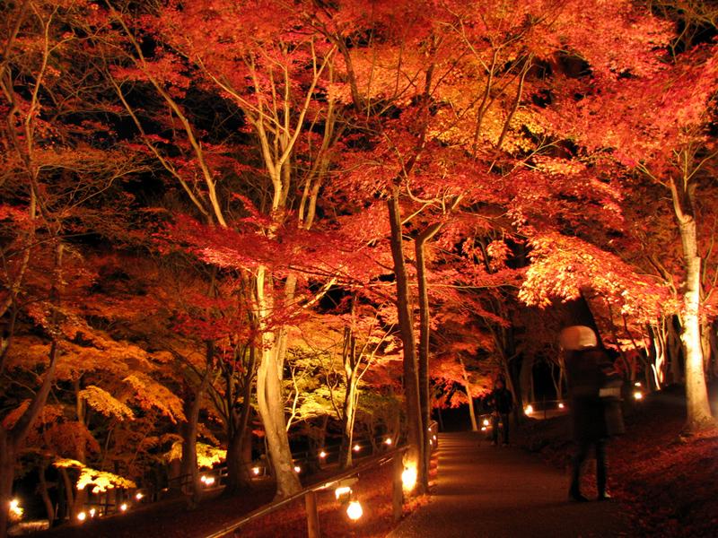 日本庭園