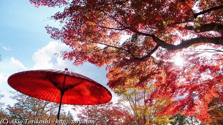 日本庭園