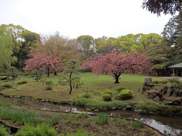 日本庭園