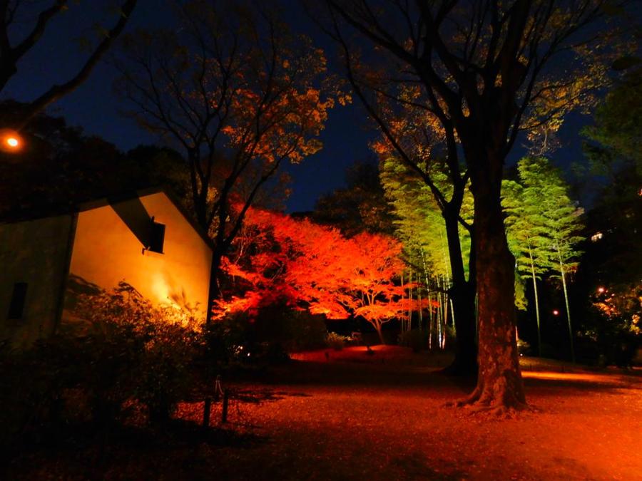 日本庭園