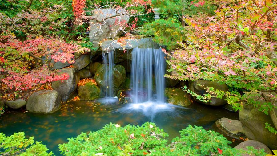 日本庭園