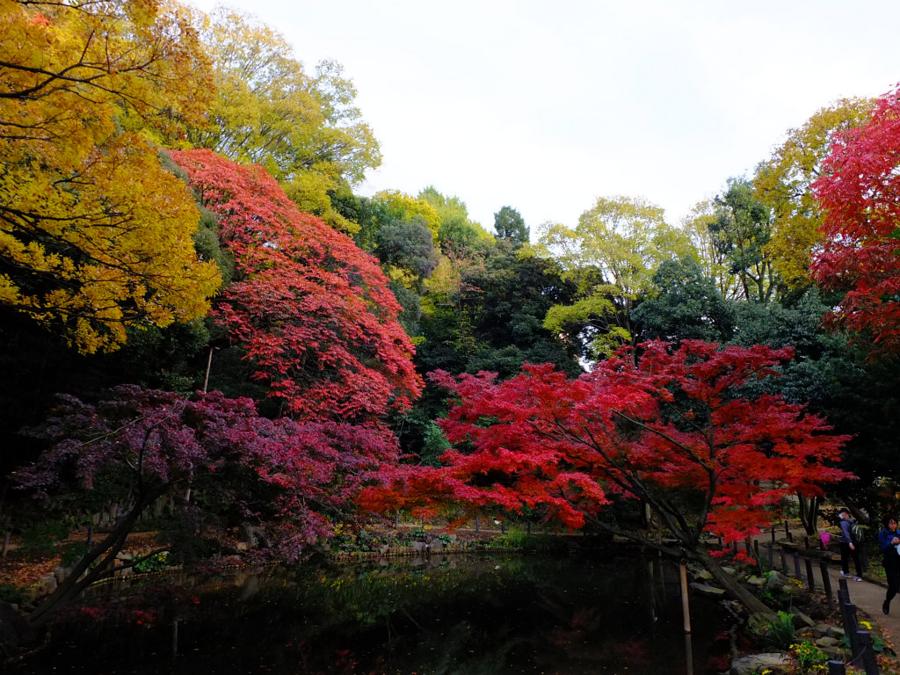 日本庭園