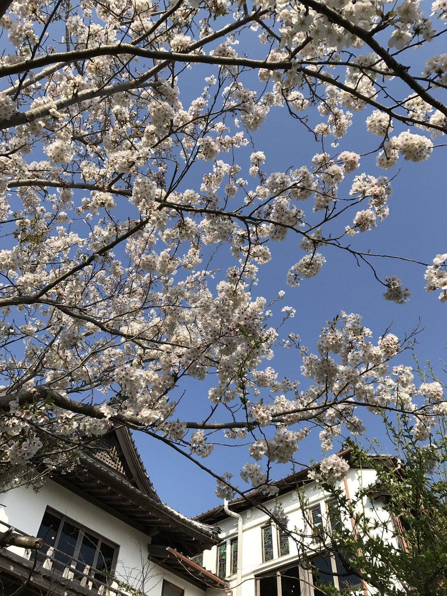 日本庭園