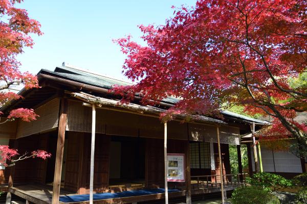 日本庭園