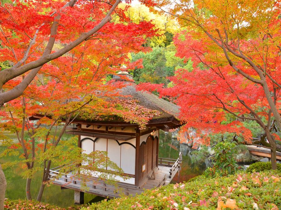 日本庭園