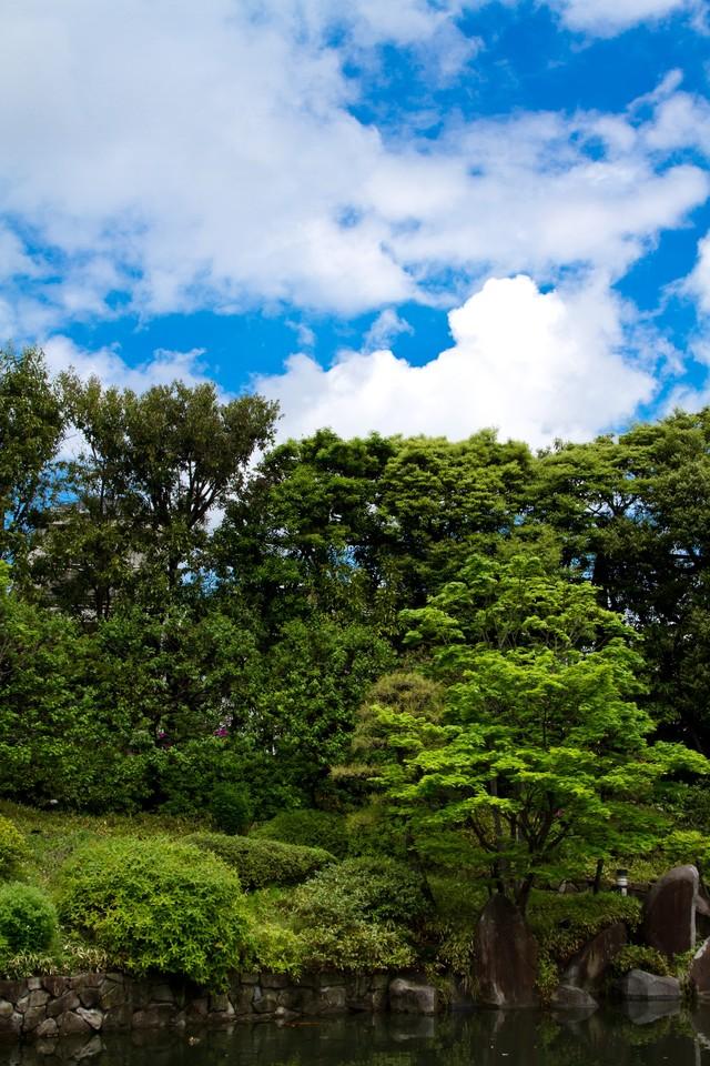 日本庭園