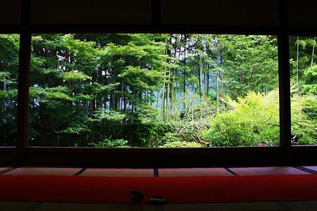 日本庭園