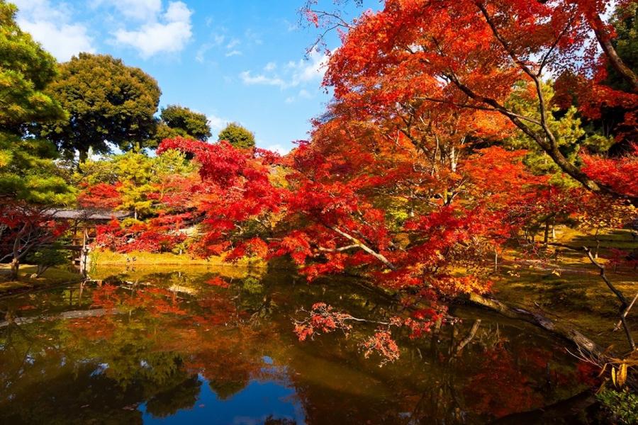 日本庭園