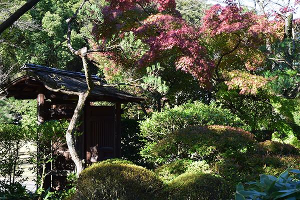 日本庭園