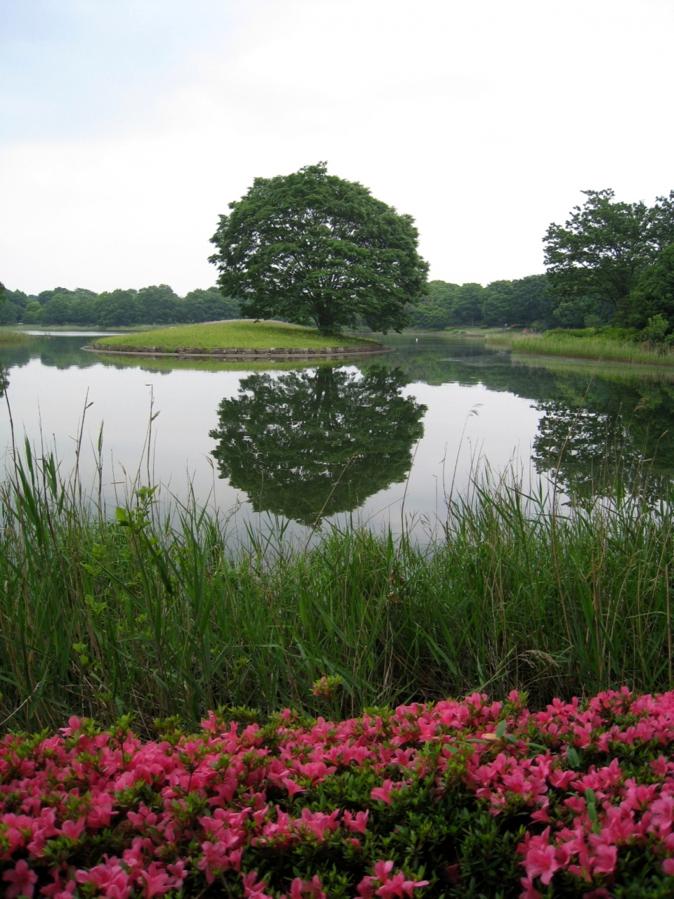 日本庭園