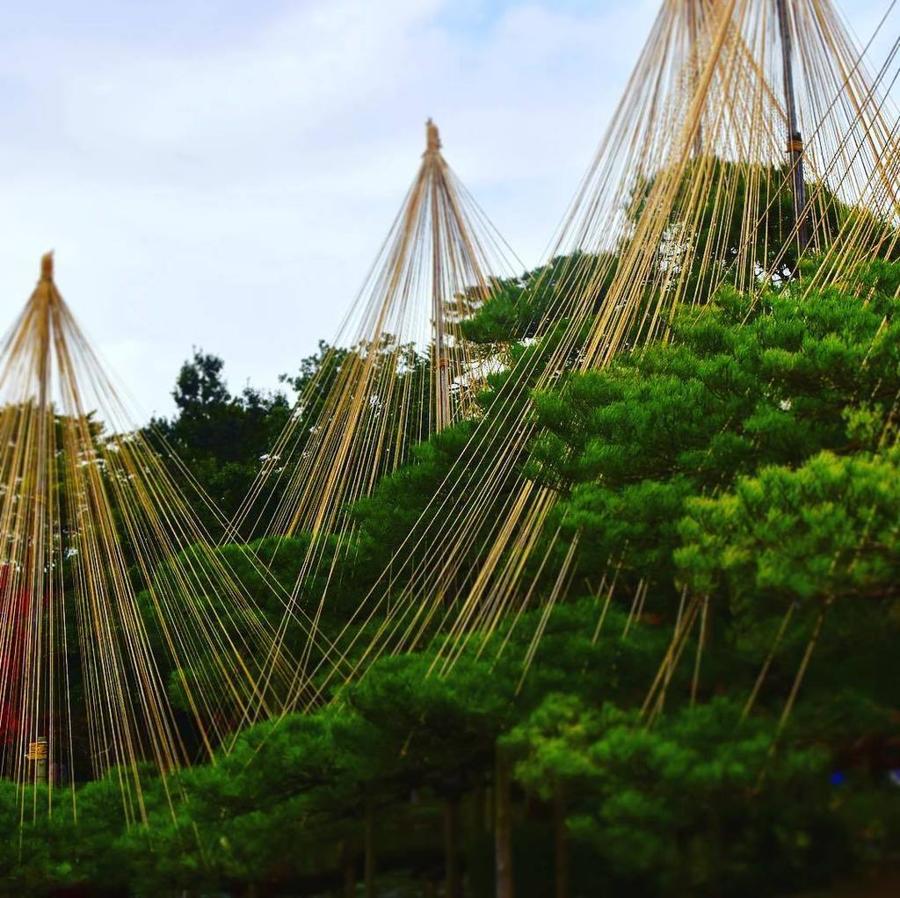 日本庭園