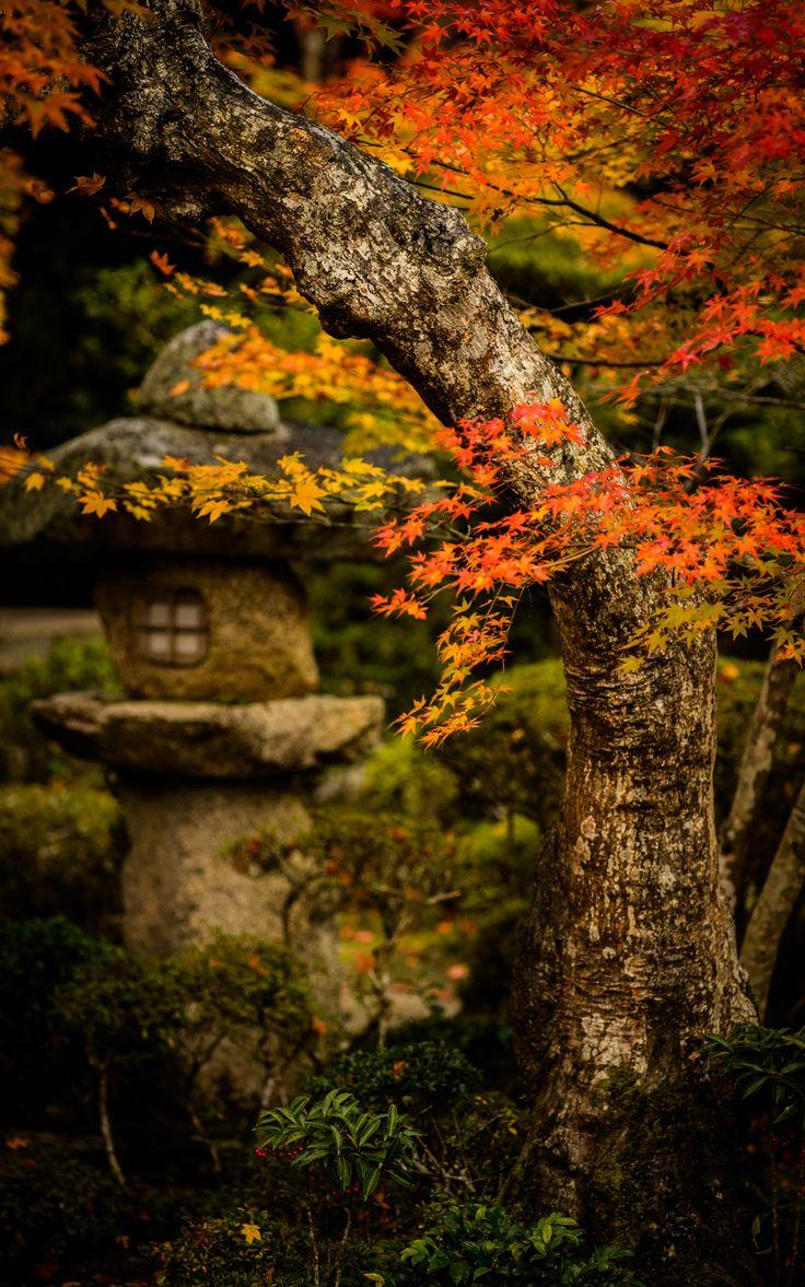日本庭園