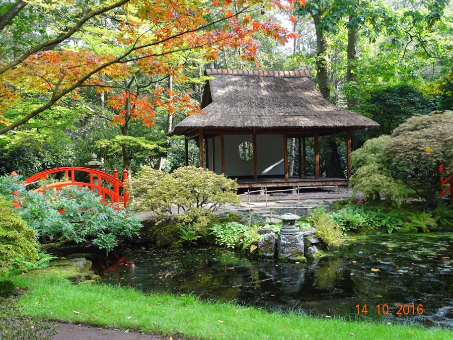 日本庭園