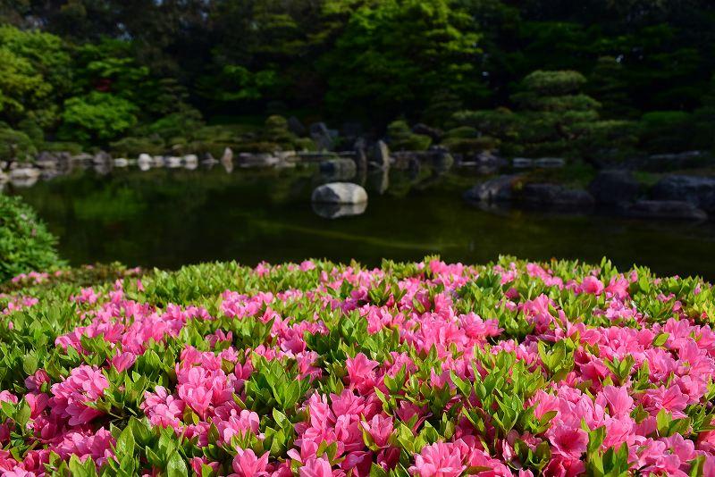 日本庭園