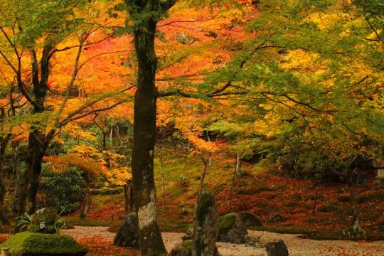 日本庭園