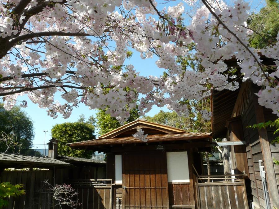 日本庭園