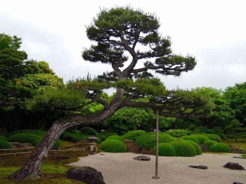 日本庭園