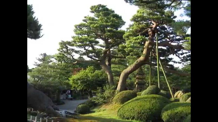 日本庭園