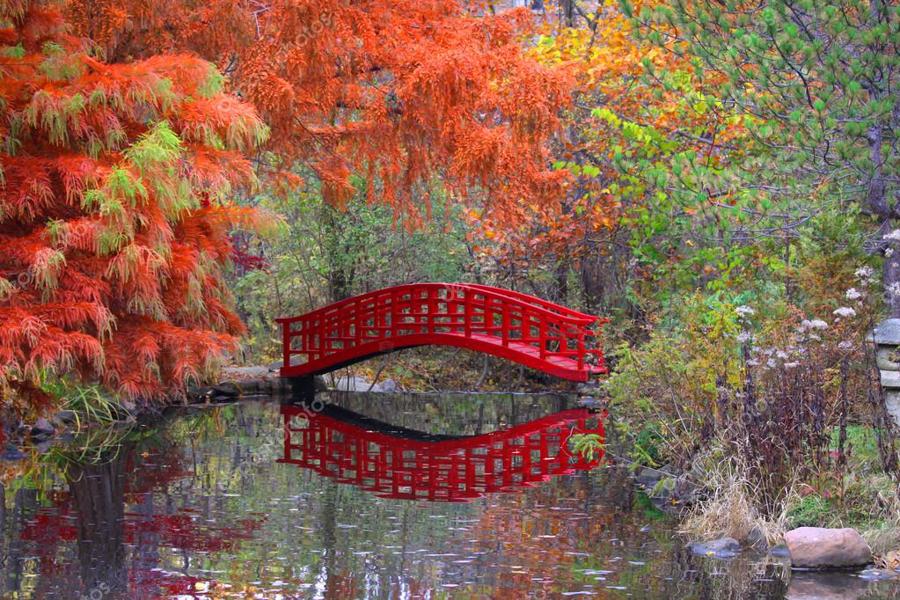 日本庭園