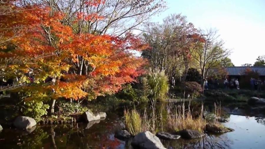 日本庭園