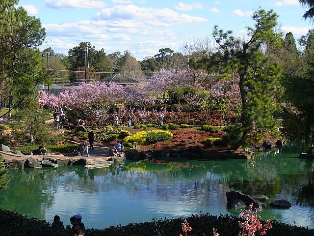 日本庭園