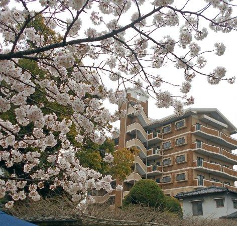 日本庭園