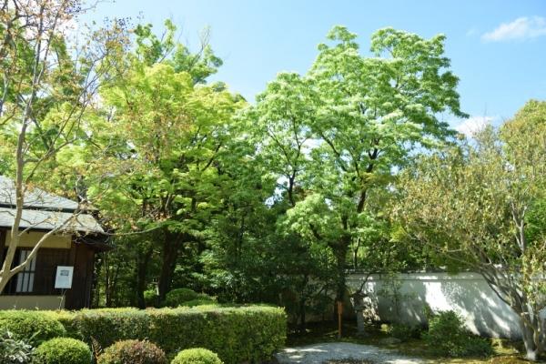 日本庭園