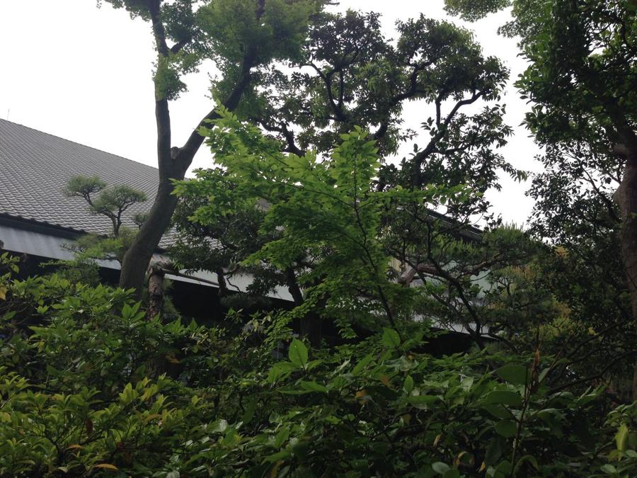 日本庭園