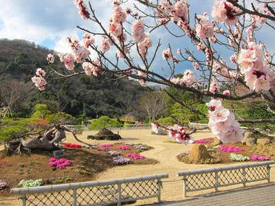 日本庭園