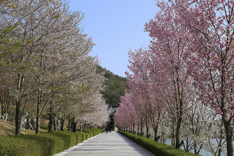 日本庭園