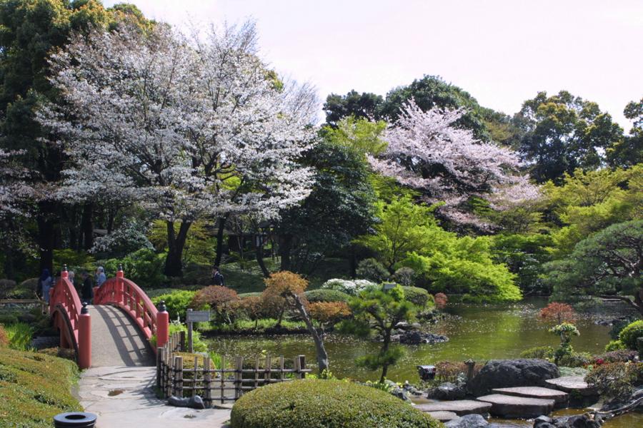 日本庭園