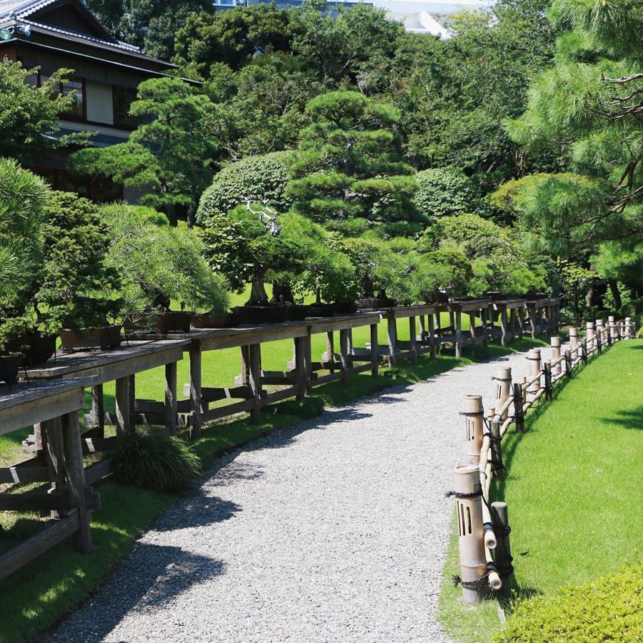 日本庭園